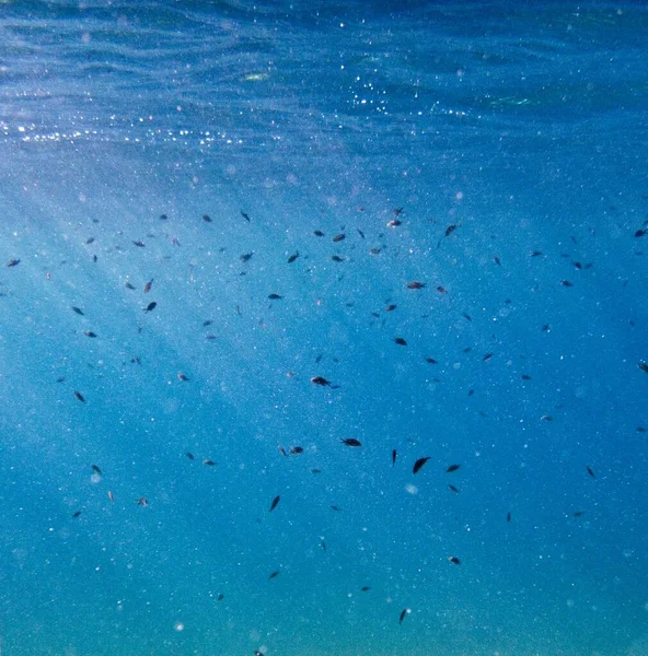 地中海蓝色蔚蓝的海水 — 图库照片