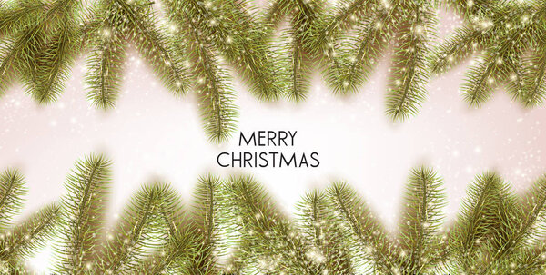 Christmas background with green fir twigs. Vector