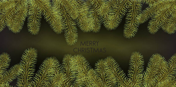 Christmas background with green fir twigs. Vector