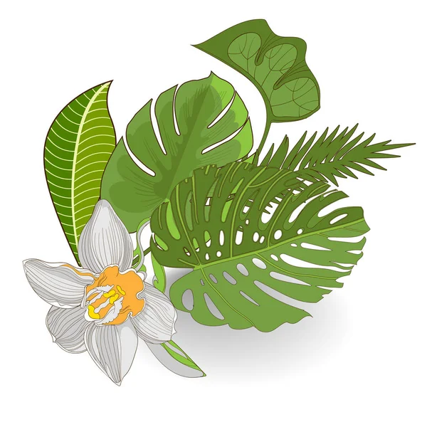 Banner con orquídea de hojas tropicales — Vector de stock