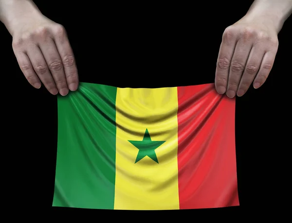 Hombre Con Bandera Senegal —  Fotos de Stock