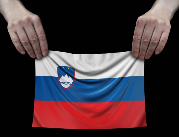 Slovene Flag Hands — Stock Photo, Image