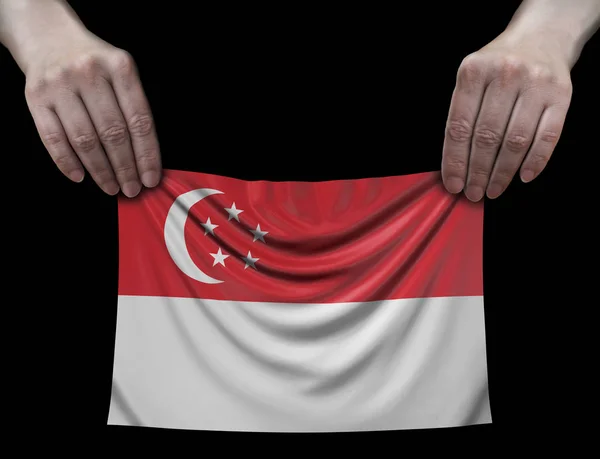 Singapore Flag Hands — Stock Photo, Image