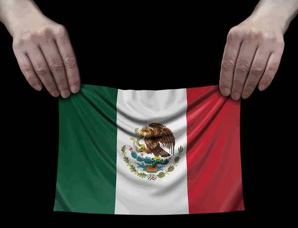 Imagen Bandera Estados Unidos Las Manos — Vector de stock