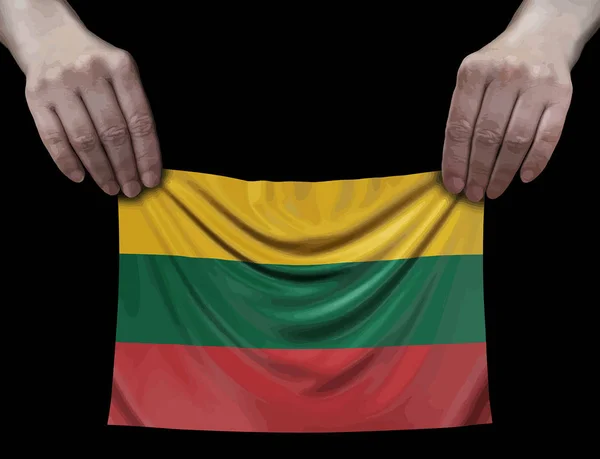 Litauische Flagge Händen — Stockvektor