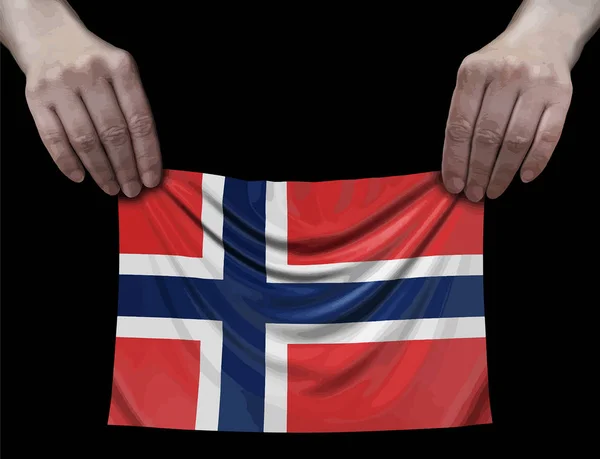 Noorse Vlag Handen — Stockvector