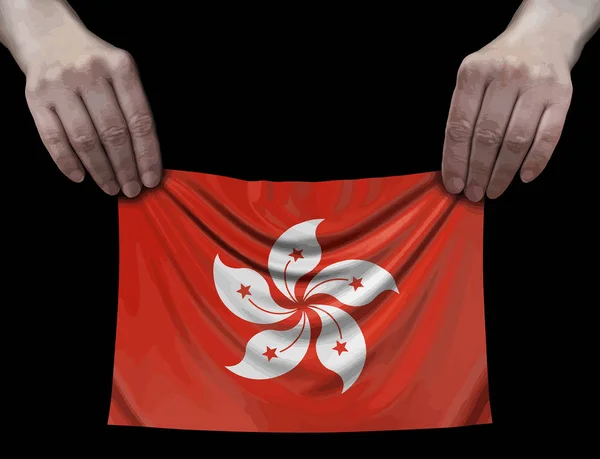 Drapeau Hong Kong Entre Les Mains — Image vectorielle