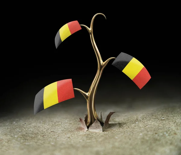 Kiełek Flagą Belgijską Czarno — Zdjęcie stockowe