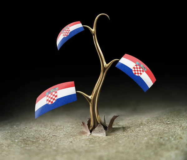 Ituja Kroatian Lipun Kanssa Mustalla — kuvapankkivalokuva