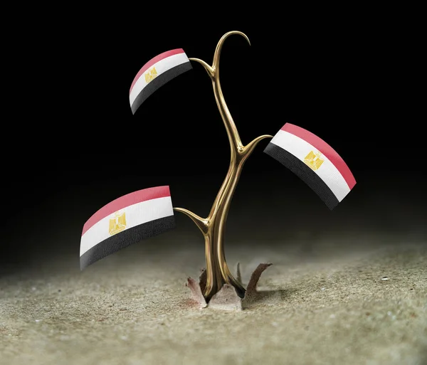 Росток Египетским Флагом Черном — стоковое фото