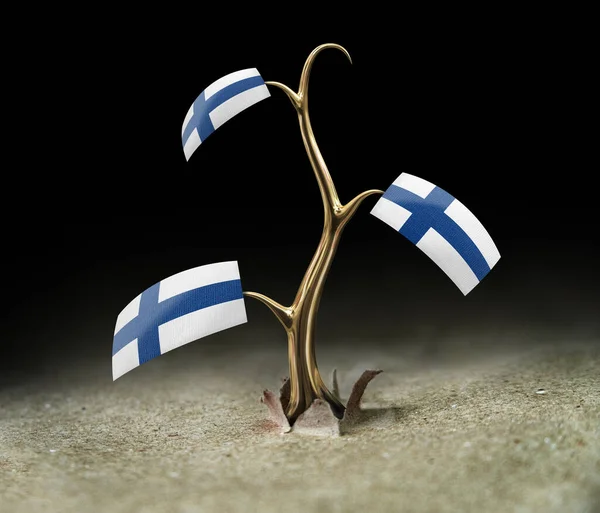 Spire Med Finsk Flag Sort - Stock-foto