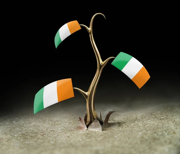 Sprout Irish Flag Black — Stock Photo, Image
