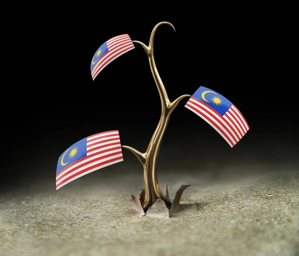 Sprout Malaysia Flag Black — Stock Photo, Image