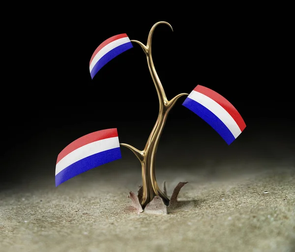 Sprout Met Nederlandse Vlag Zwart — Stockfoto