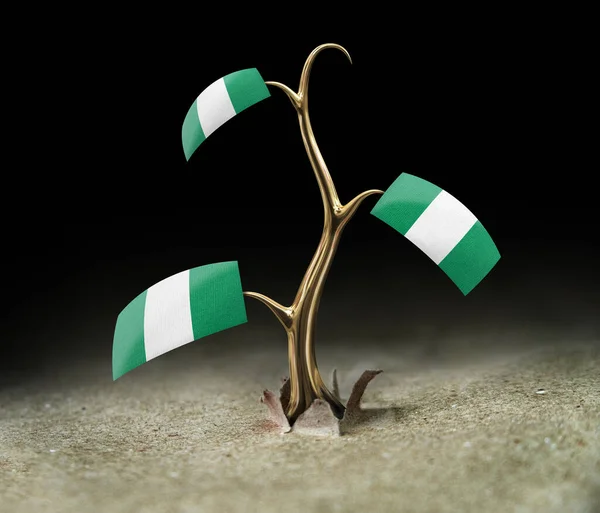 Sprout Nigerian Flag Black — Stock Photo, Image