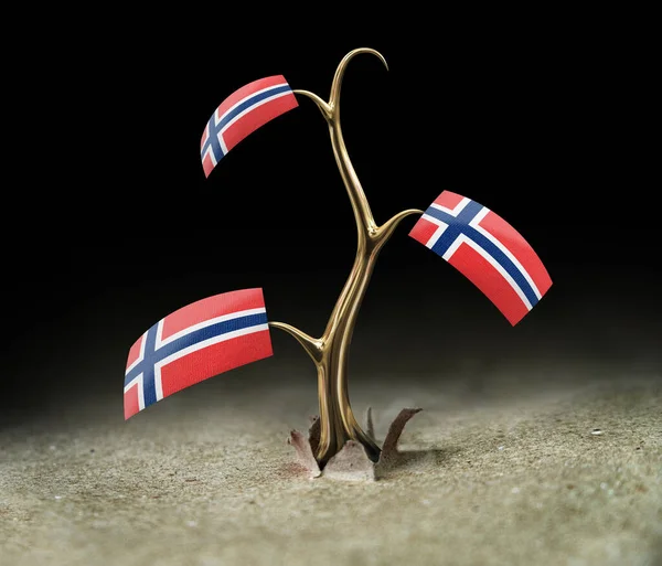Siyah Üzerinde Norveç Bayrağı Olan Filizi — Stok fotoğraf