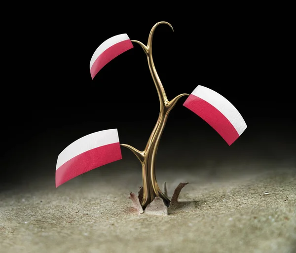 3D芽で黒のポーランド国旗 — ストック写真