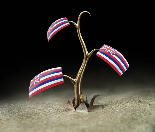 Broto Com Bandeira Havaiana Preto — Fotografia de Stock