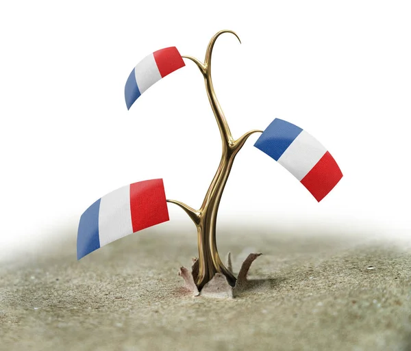 Ituja Ranskan Lipun Kanssa Valkoisella — kuvapankkivalokuva