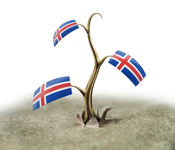 Sprossen Mit Isländischer Flagge Auf Weißem Grund — Stockfoto