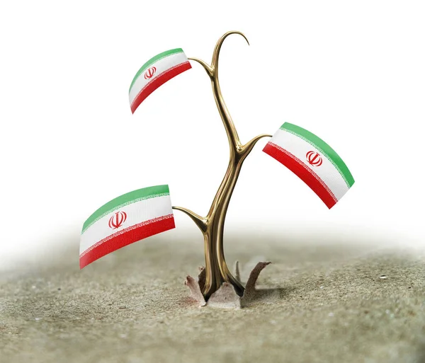 Broto Com Bandeira Irã Branco — Fotografia de Stock