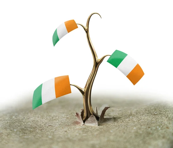 Sprout Irish Flag White — Stock Photo, Image