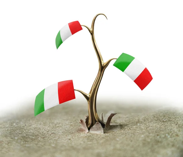 Sprout Italian Flag White — Stock Photo, Image