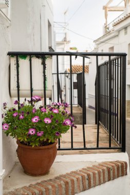 Geleneksel Endülüs sokak sahne badanalı duvarları ve çiçekler