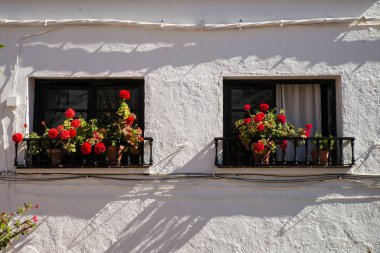 Benagalbon eski şehir, dar sokakları ve flowerss dolu bir geleneksel Endülüs konumu