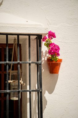 Geleneksel Endülüs cephesi sardunya çiçeği pot ile