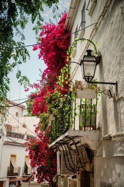 Çiçekli begonvillerle Marbella eski şehirde