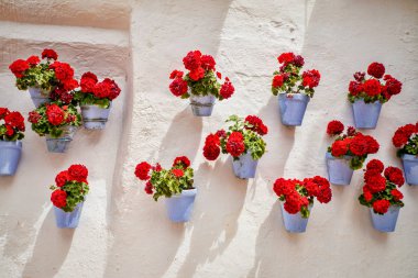 Badanalı ve saksı ile Paketli geleneksel Endülüs eski şehir duvar,