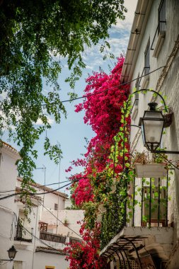 Çiçekli begonvillerle Marbella eski şehirde