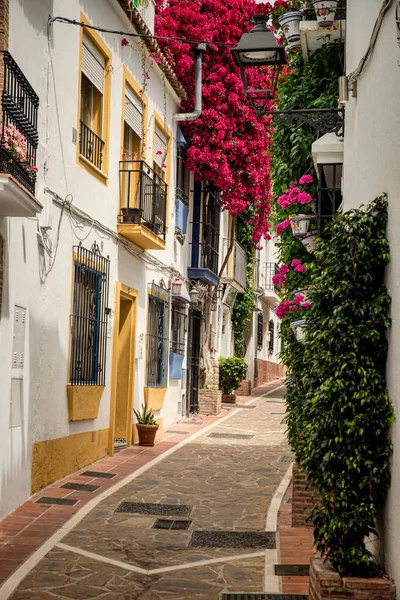 Flowering Bougainvilleas Marbella Old Town — Stock Photo, Image