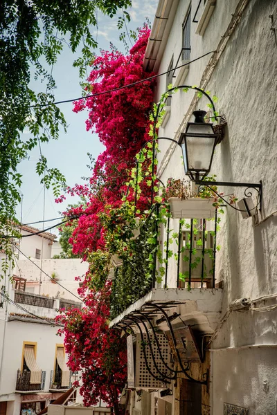 Çiçekli Begonvillerle Marbella Eski Şehirde — Stok fotoğraf