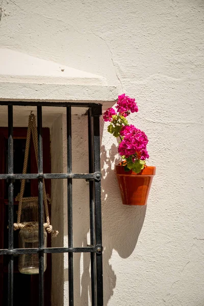 Fachada Tradicional Andaluza Con Geranio Maceta — Foto de Stock