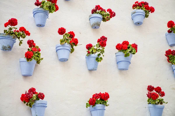 Pared tradicional andaluza — Foto de Stock