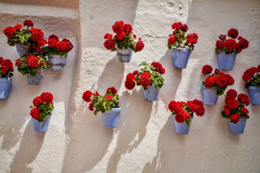 Badanalı ve saksı ile Paketli geleneksel Endülüs eski şehir duvar,