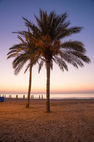 Pohled Záliv Alicante Brzy Ráno Costa Blanca Španělsko — Stock fotografie