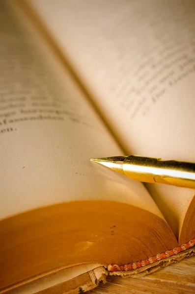 本の万年筆をクローズ アップ — ストック写真