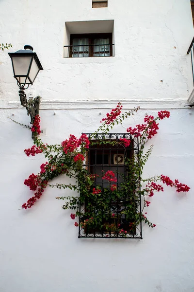 Whitewashed Fachada Mediterrâneo Casa Cidade Velha — Fotografia de Stock