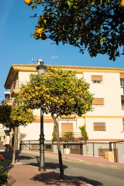 Bir Costa Blanca Köyü, İspanya eski bir kasaba sokakta süs portakal ağacı.