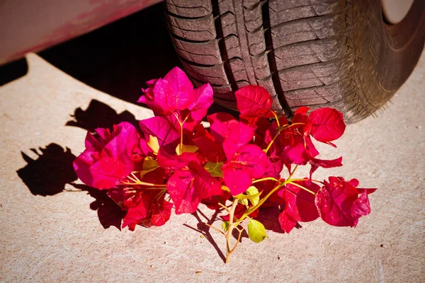 Flowers next to a car exhaust, a concept on the diesel scandal.