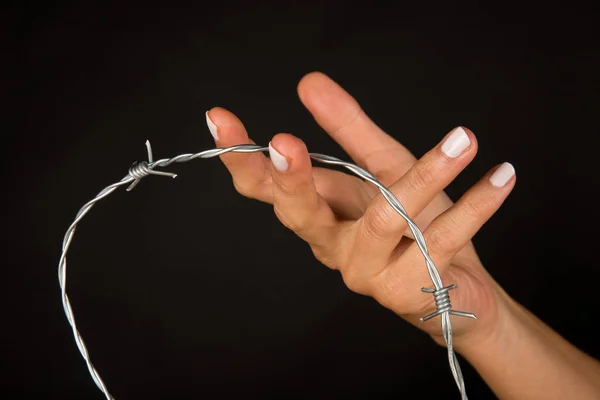 Hand hållande taggtråd — Stockfoto