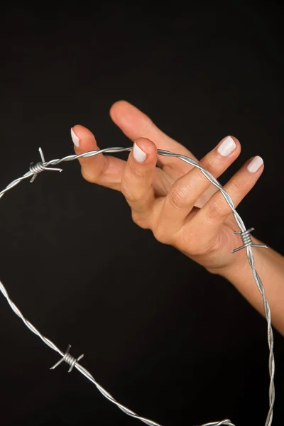 Hand holding barbed wire — Stock Photo, Image