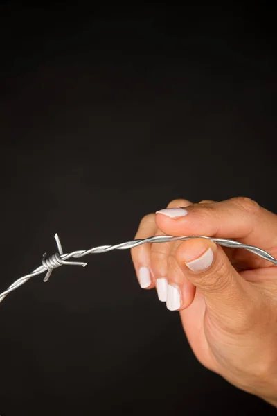 Hand holding barbed wire — Stock Photo, Image