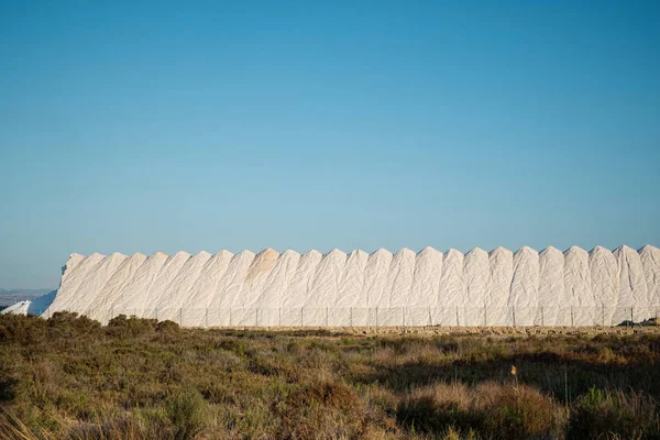 Sea salt works — Stock Photo, Image