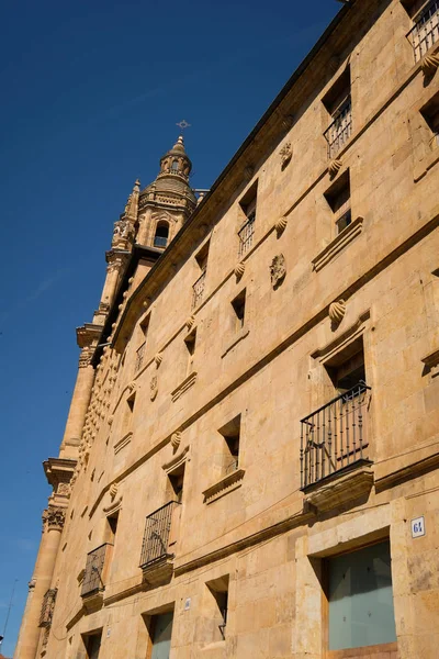 Vista Laterale Della Cattedrale Salamanca Castilla Leon Spagna — Foto Stock