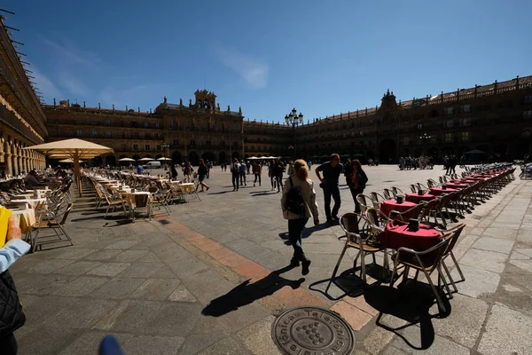 Salamanca Katedralinin Yanal Görünümü Castilla Leon Spanya — Stok fotoğraf