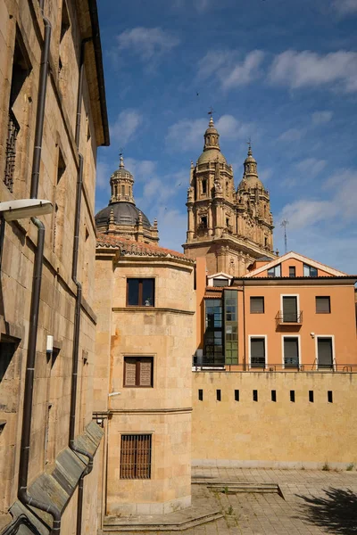 Vista sulla cattedrale di Salamanca — Foto Stock